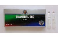 Enanthal 250 - Testosterone Enanthate